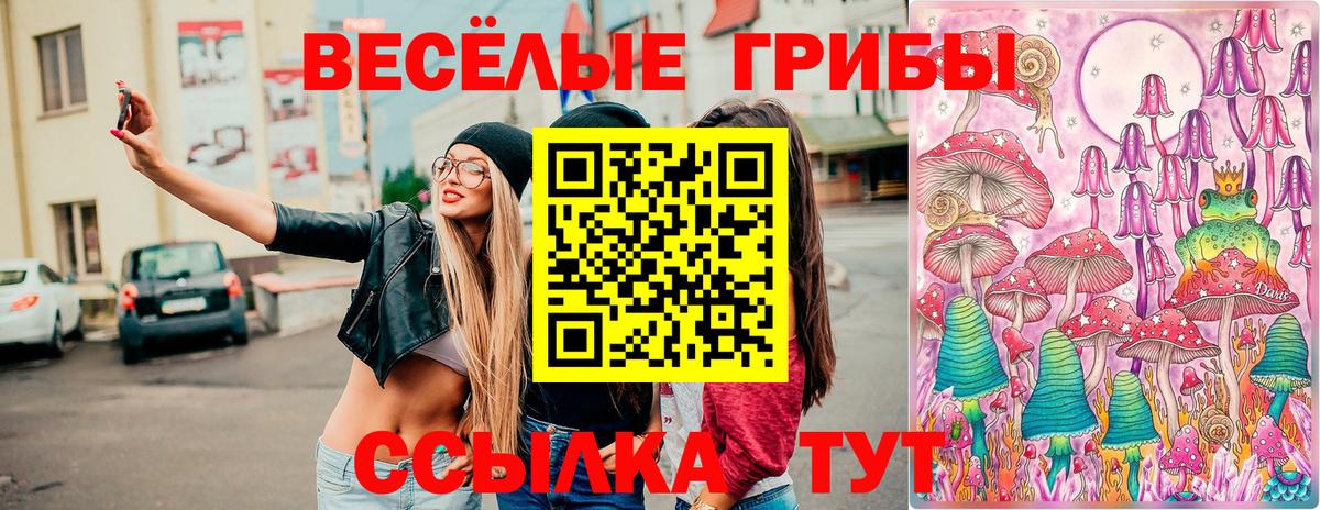 Галлюциногенные грибы мицелий  Вход с VPN  Красноярск  Псилоцибиновые грибы Psilocybine cubensis 